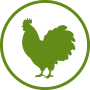 Rich and Balanced Source of Protein