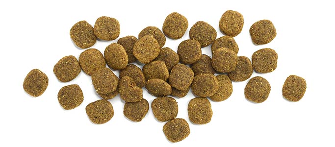 Daybreak™ Chicken Recipe - Chicken Recipe Dog Food
