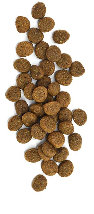 Riverbend™ Whitefish Recipe - Whitefish Recipe Dog Food