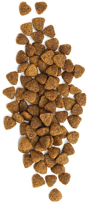 Twilight™ Lamb Recipe - Lamb Recipe Dog Food