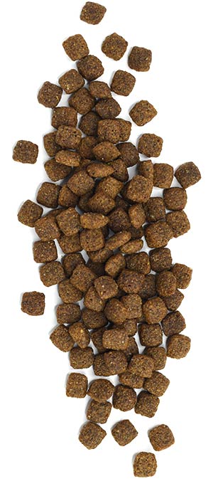 Westward™ Beef Recipe - Beef Recipe Dog Food
