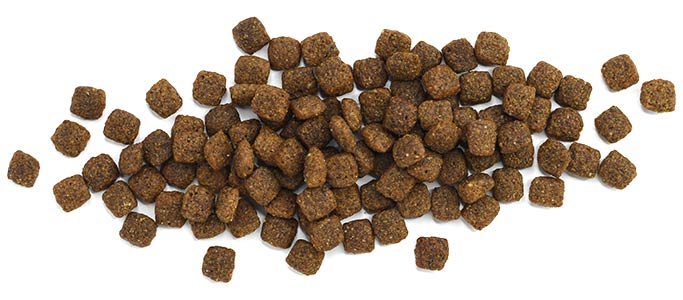 Westward™ Beef Recipe - Beef Recipe Dog Food